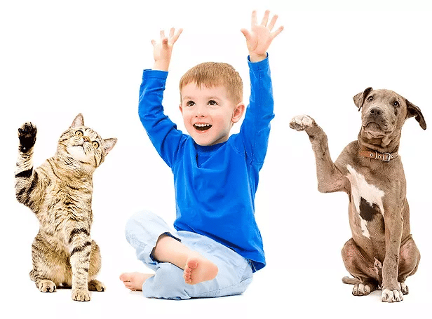 A boy, a cat, and a dog with their C.A.R.E.4Paws up in the air