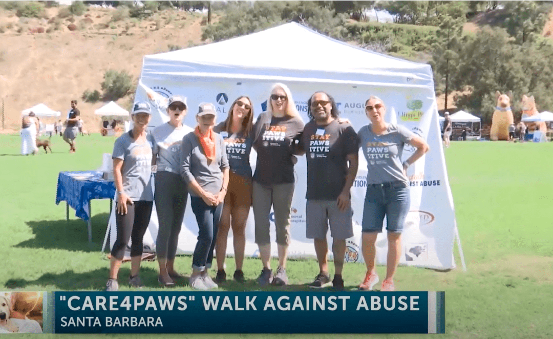Animal lovers stand up to animal cruelty and domestic violence in first ever “Walk Against Abuse” Fundraiser
