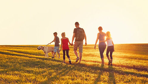 family walking dogs through field during the golden hour