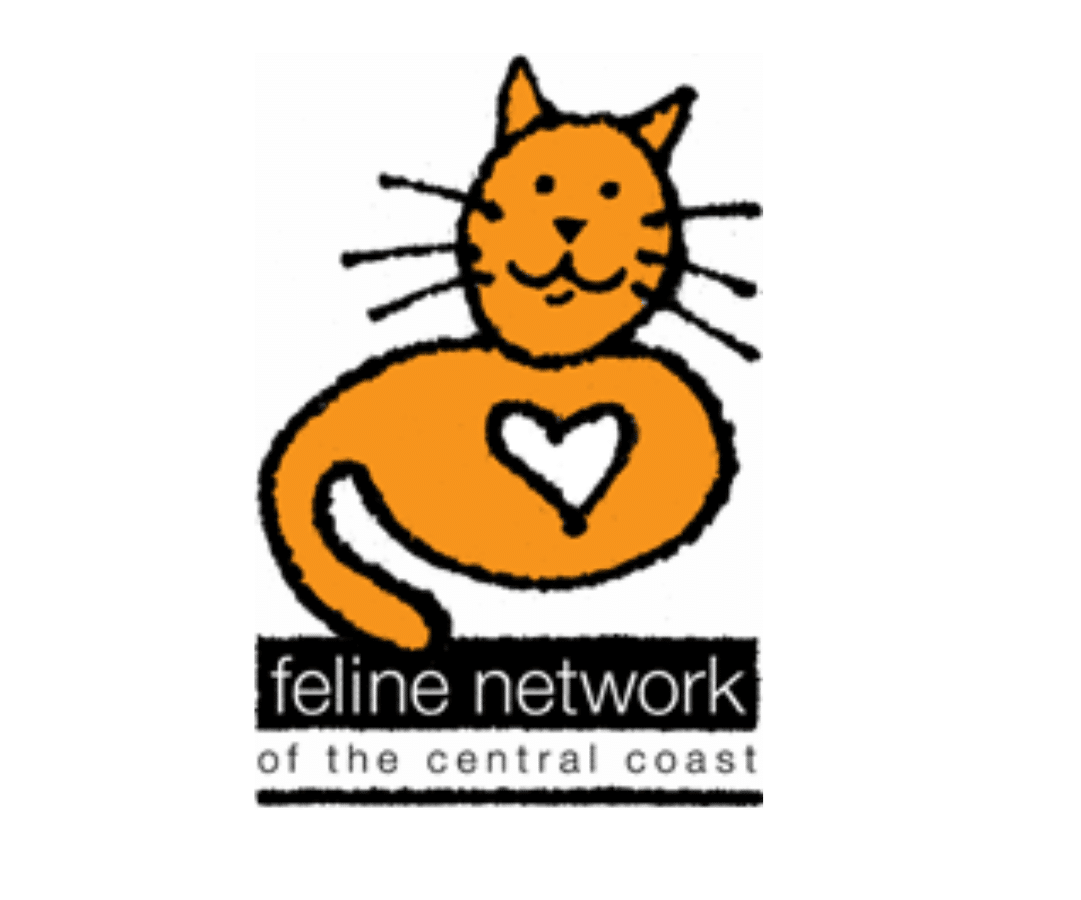 Feline Network Logo