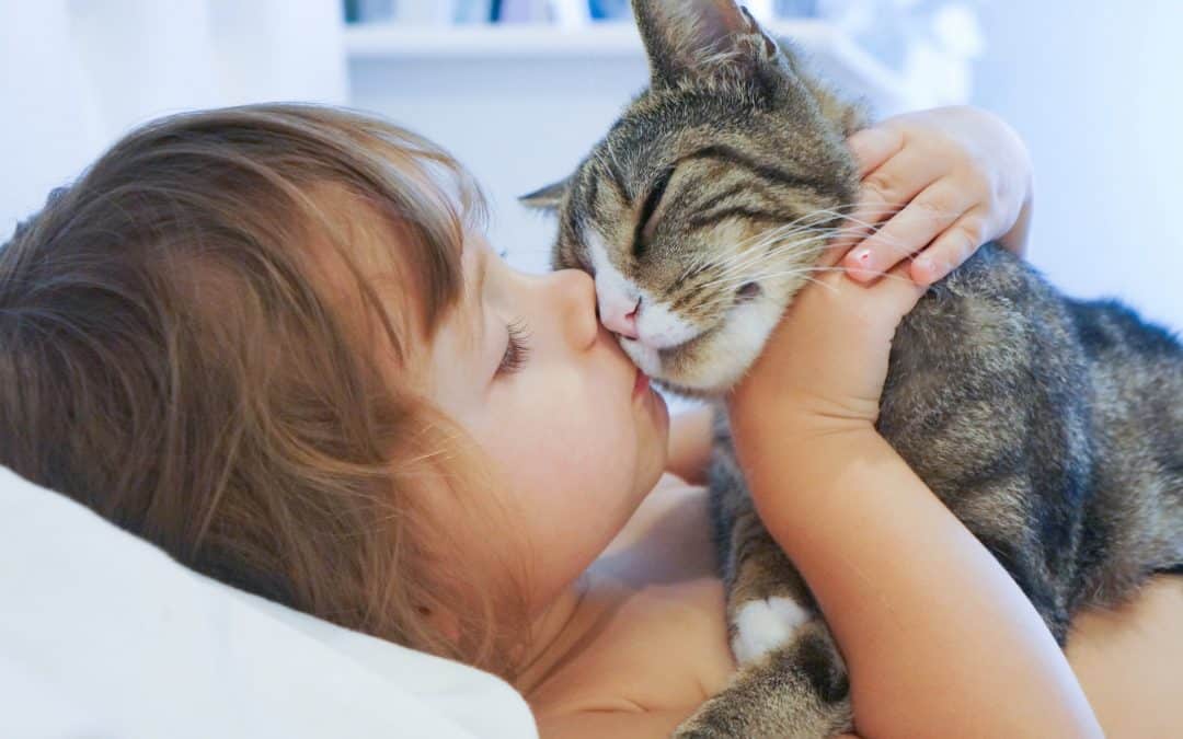 girl kissing cat, lots of love