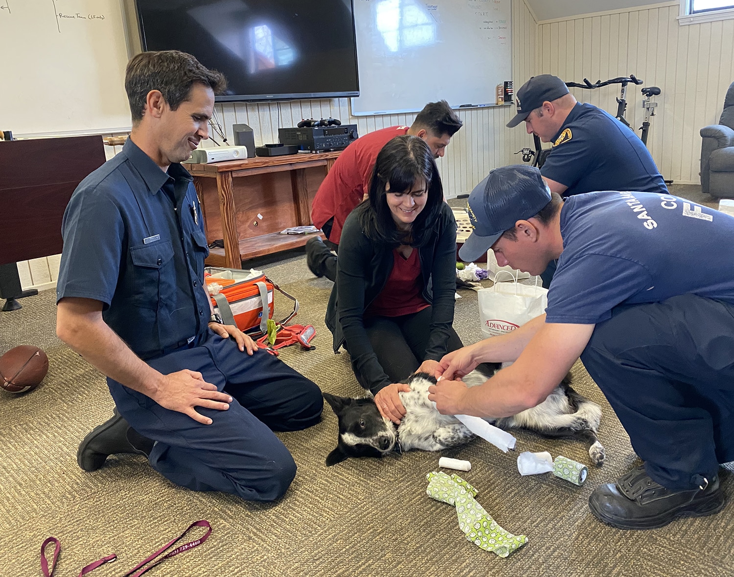 First responders learning pet first aid
