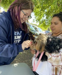 Two dogs getting their nails trimmed at a C.A.R.E.4Paws Mobile Pet Clinic