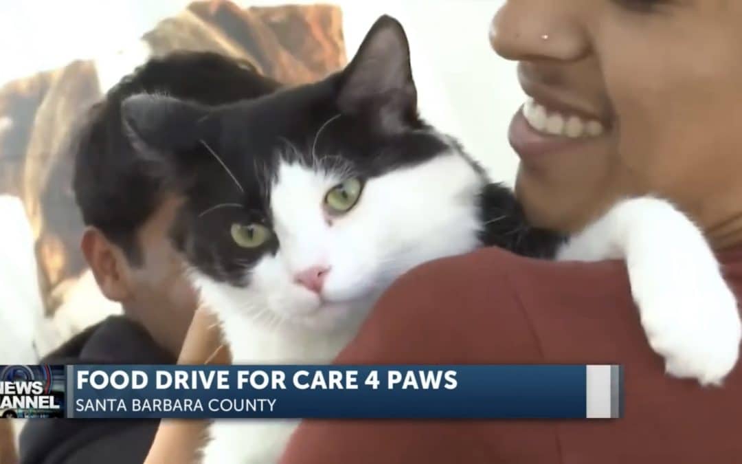 C.A.R.E.4Paws in the news with KSBY for Pet Food Drive hosted by Ava Vasquez for cats and dogs