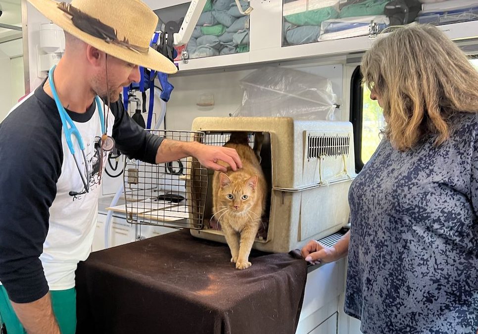 Central Coast nonprofits help pet families experiencing homelessness