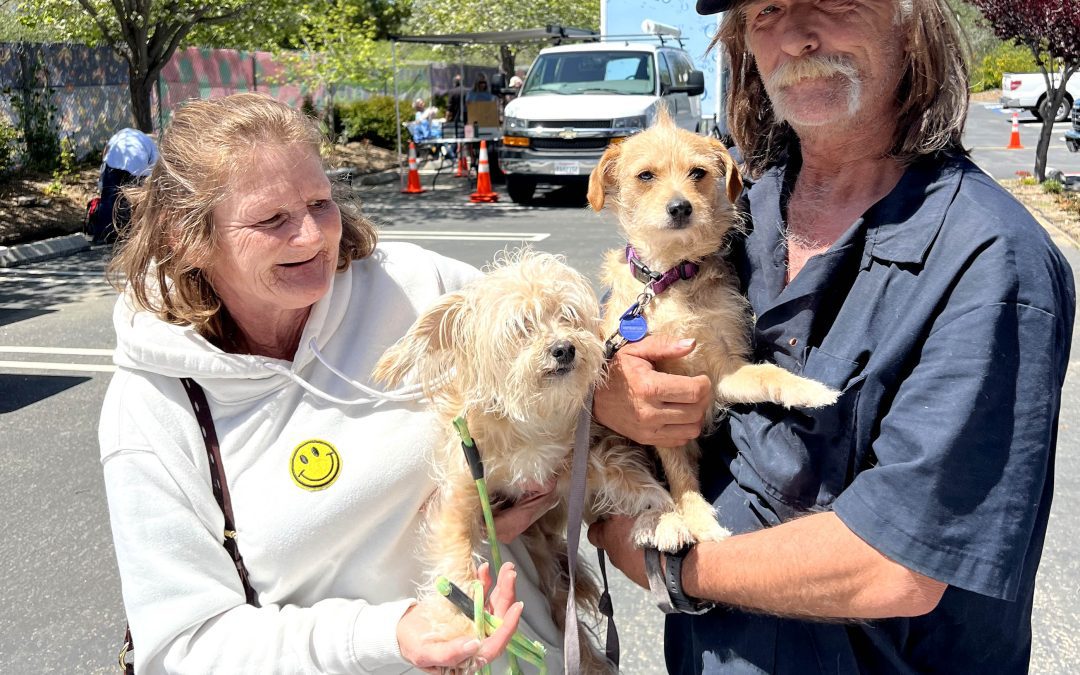 A homeless couple with their two dogs at a C.A.R.E.4Paws pet wellness clinic
