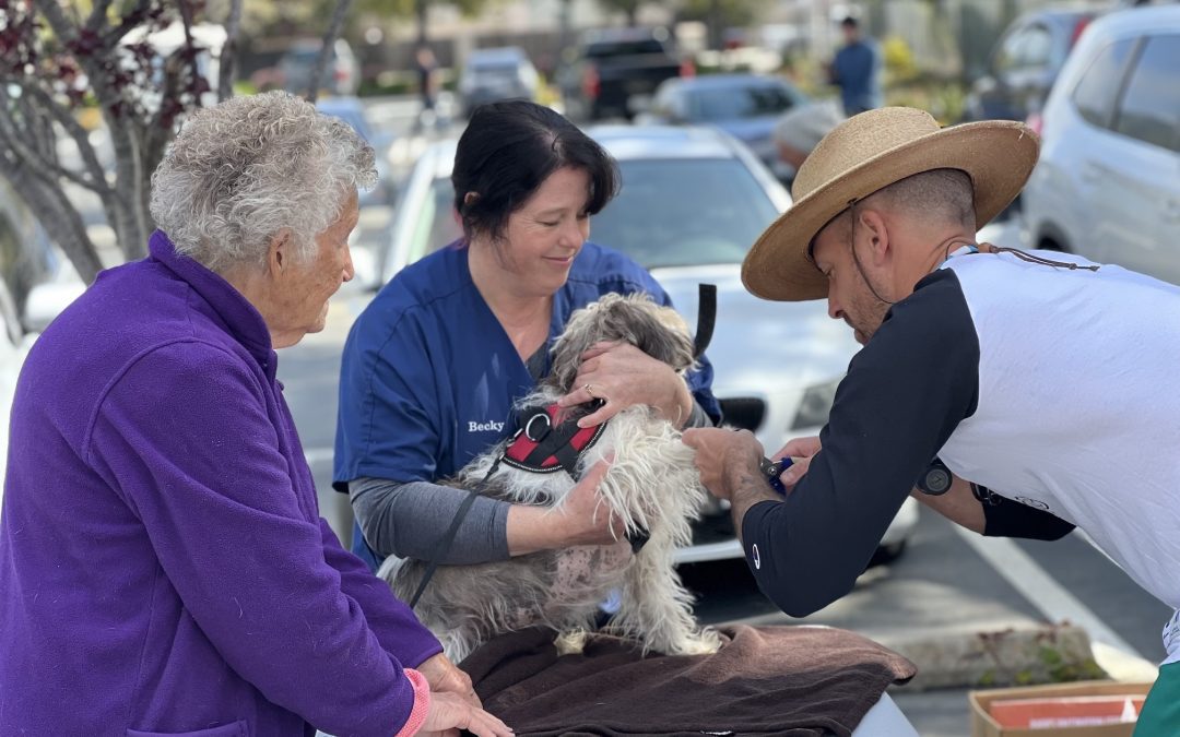 An elderly ladies dog receives vet care