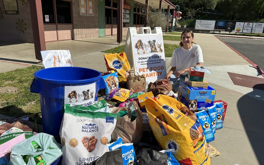 Ava Vasquez hosts a C.A.R.E.4Paws pet food drive and she brings in over 800 pounds of pet food