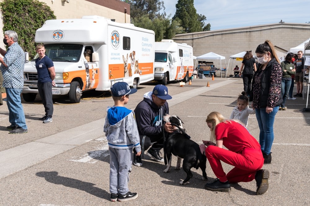 a family pet getting a vaccine at C.A.R.E.4Paws Mobile Community Medicine Clinic