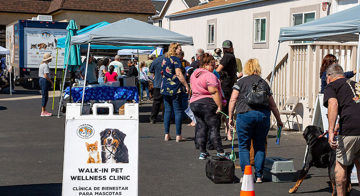 C.A.R.E.4Paws rolls out a third mobile clinic to improve access to care