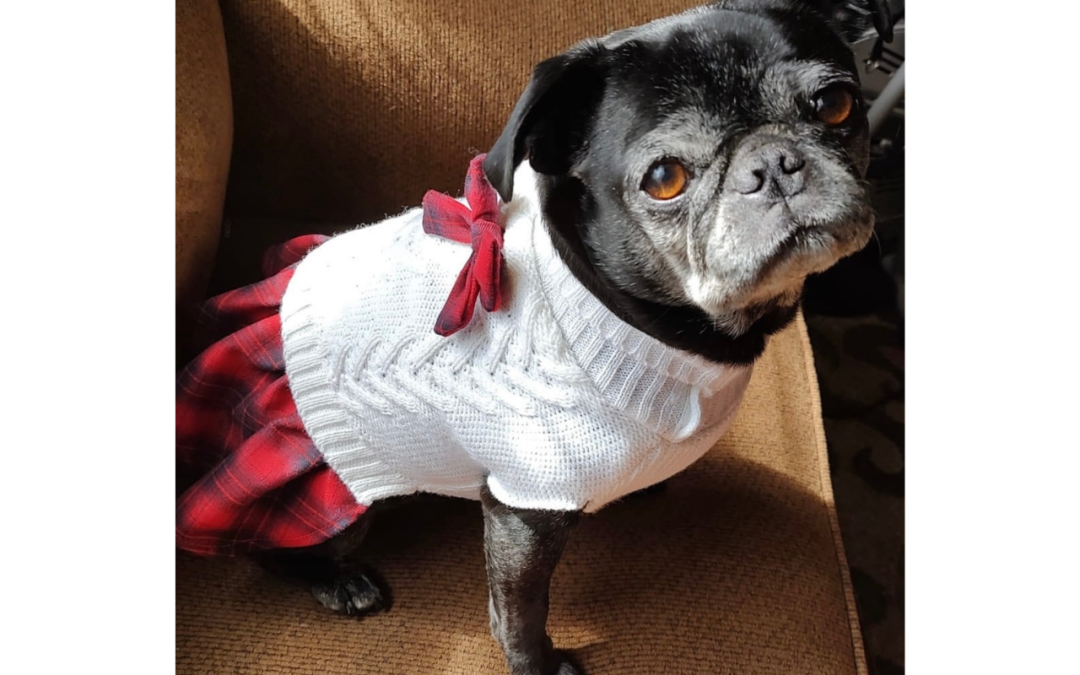 Donations are much appreciated