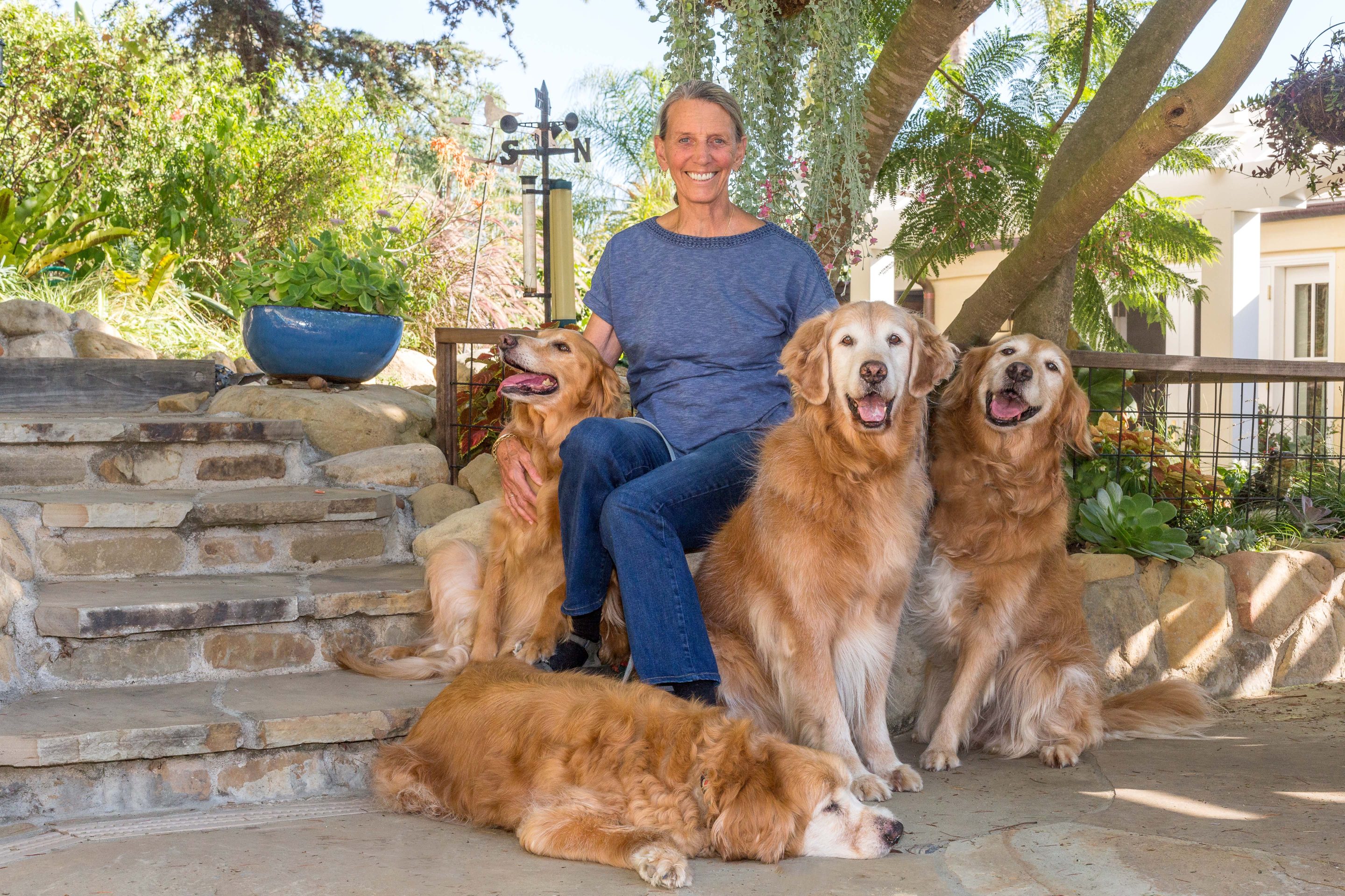 Marilyn Makepeace a Pawsitive Legacy Club member with her four goldens