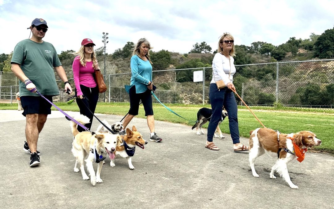 C.A.R.E.4Paws’ Annual Walk Against Abuse supports pet families exposed to domestic violence