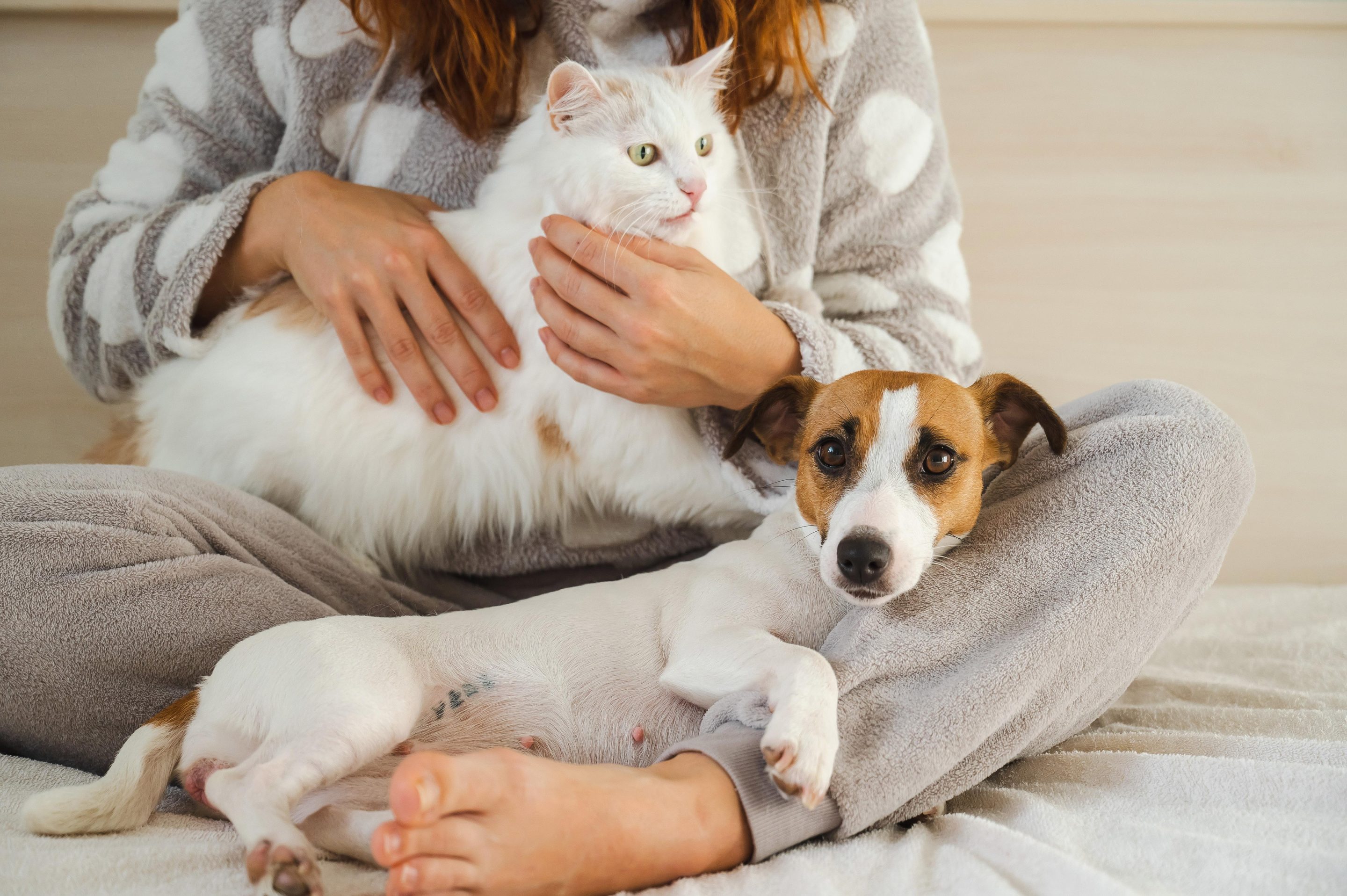Lady with a white dog and a white cat in her lap
