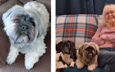 C.A.R.E.4Paws is awesome!