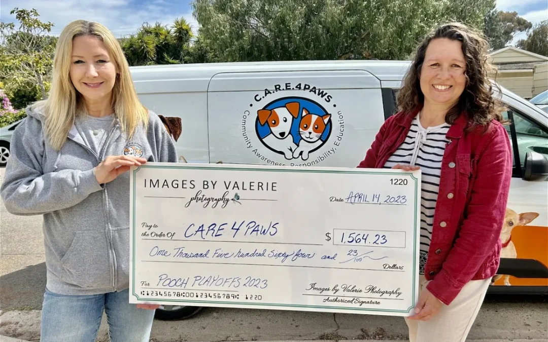 Local Pooch Playoffs crowns victor, donates proceeds to area pet clinic