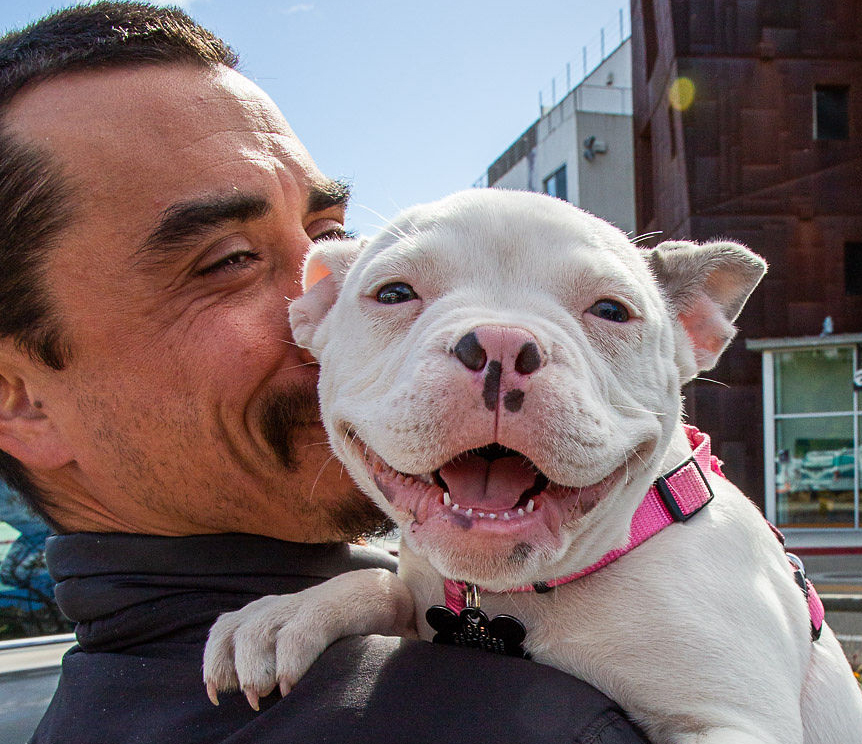 Two kitchens at a C.A.R.E.4Paws Mobile Pet Clinic