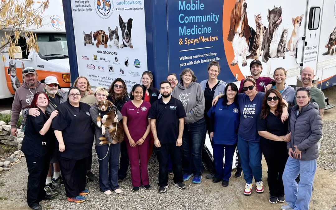 Bridging the Gap: C.A.R.E.4Paws’ mission to help pets and their families