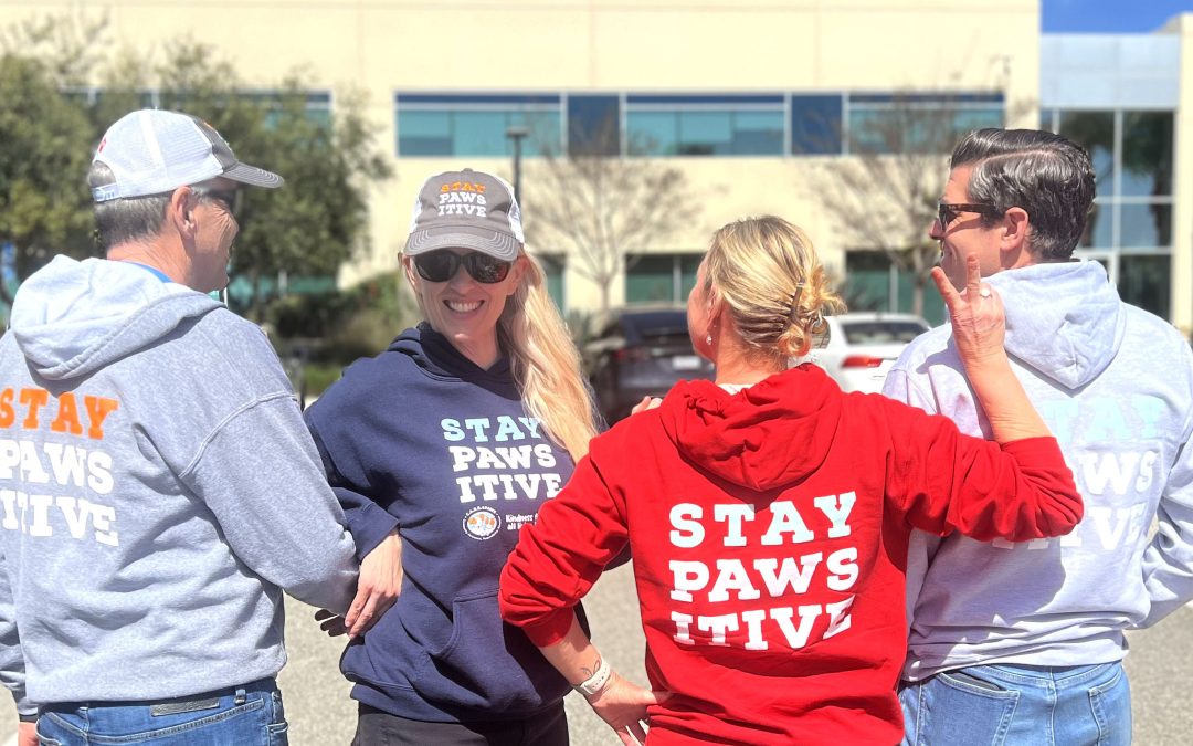 Stay Pawsitive with C.A.R.E.4Paws Summer Apparel