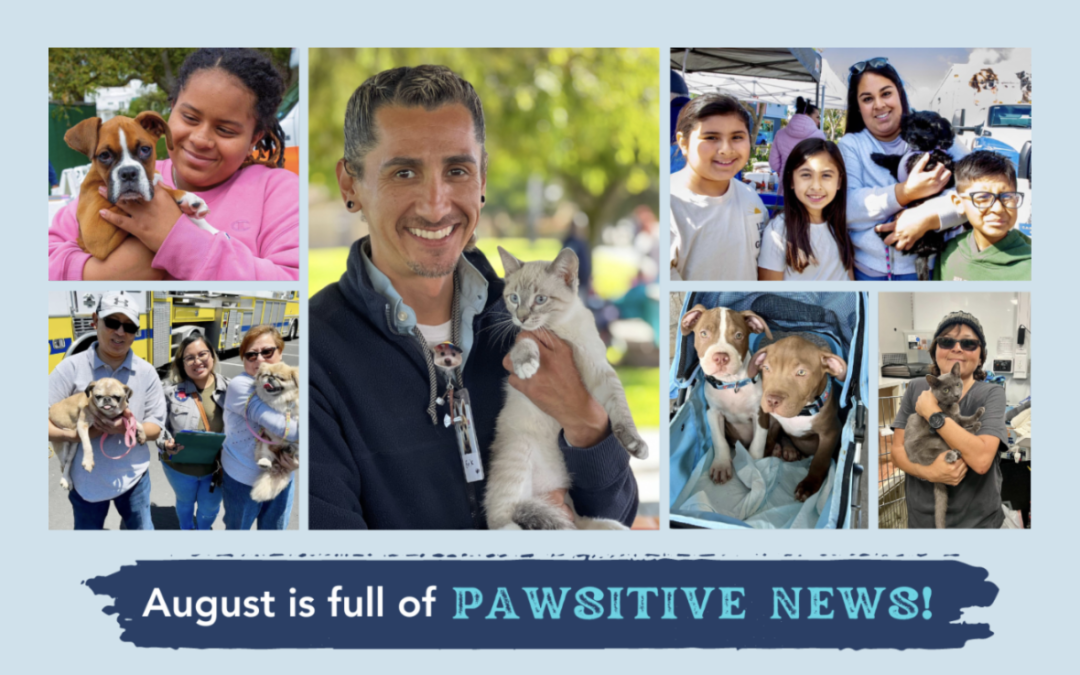 August 2024 E-newsletter