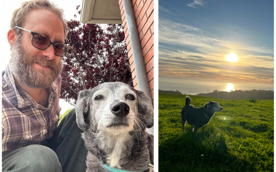 Stellar pet care for Smokey in Santa Barbara