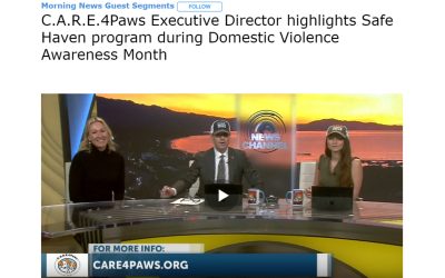 Safe Haven highlighted during Domestic Violence Awareness Month