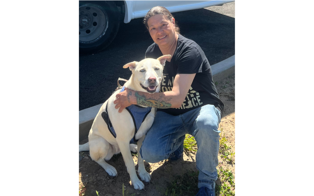 Keeping pets with their people