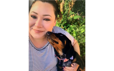 Vital healthcare for pets