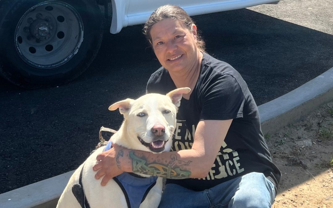 Albus Fund matching gift challenge