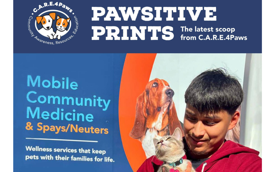 2024 A year in review