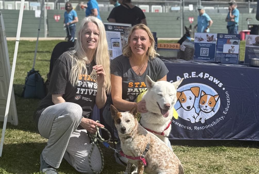 Wags and wiggles at Creekside Pet Boarding