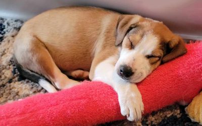 With love from Dawn and Lainey