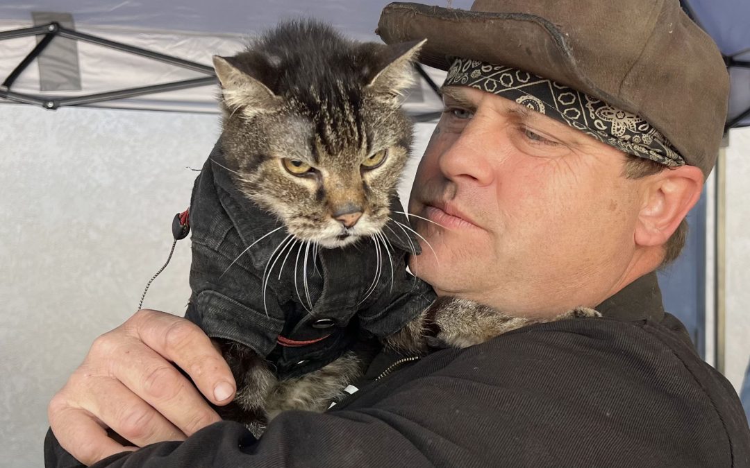 One of the coolest cats