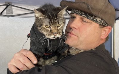 One of the coolest cats