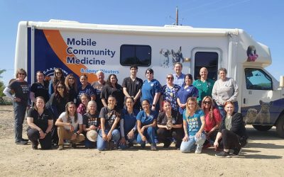 June 2025 E-newsletter