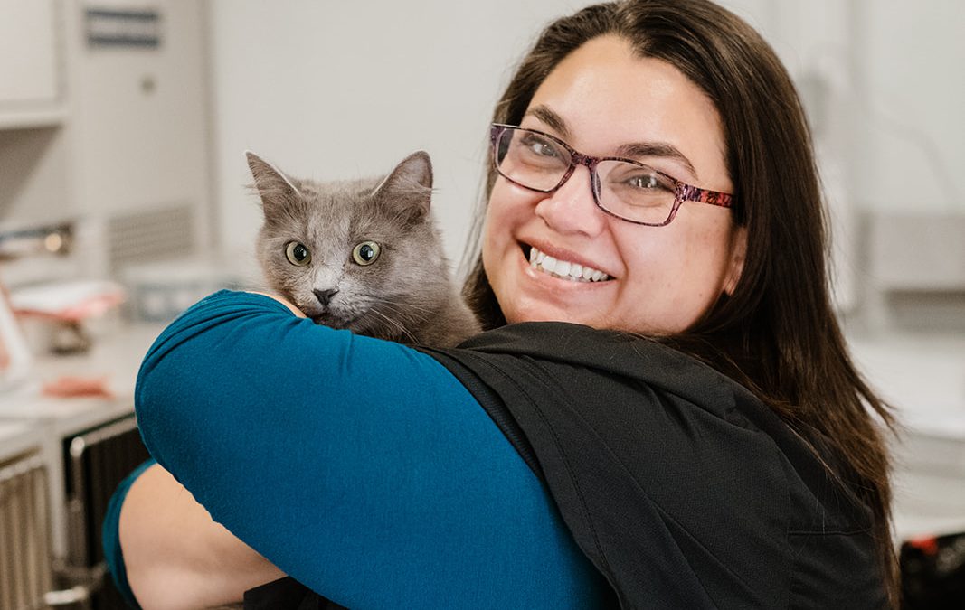 Two years of Access to Care in Oceano