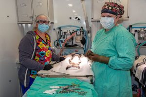 Inside C.A.R.E.4Paws mobile spay/neuter clinic