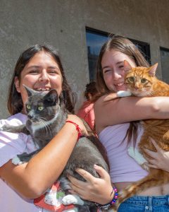 Two girls and two cats
