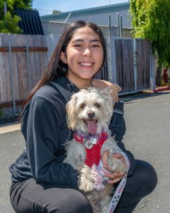 Girl with her curly hair white dog