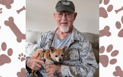 C.A.R.E.4Paws and Santa Barbara County Animal Services co-host a Spayathon and Pet Wellness Clinic