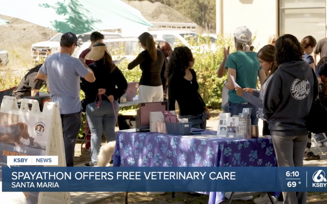 C.A.R.E.4Paws hosts free spay and neuter clinic for local families