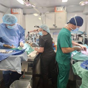 Inside view of mobile pet wellness clinic