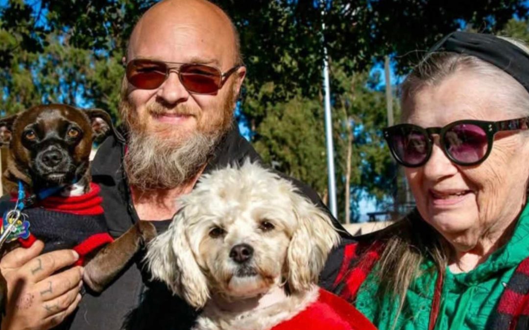 Big impact, small cost