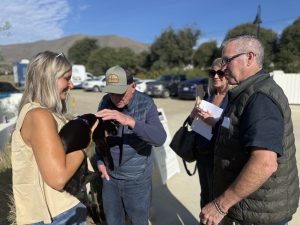 Libby with her black foster kitty