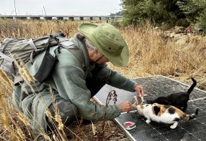 C.A.R.E.4Paws volunteer and grant writer feeding unsheltered cats in the Santa Maria riverbed
