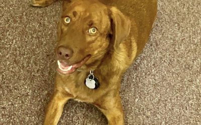 The staff are so caring!