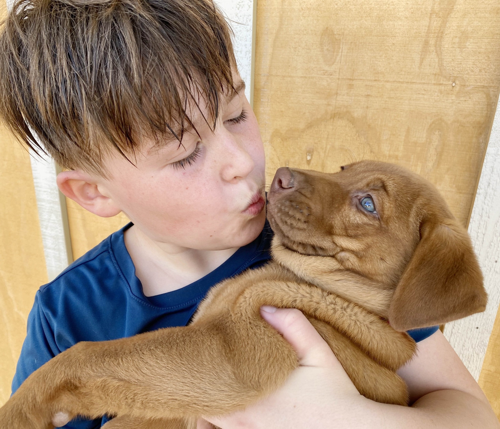 C.A.R.E.4Paws Press Coverage Noozhawk October 2025 Boy comforting a golden puppy