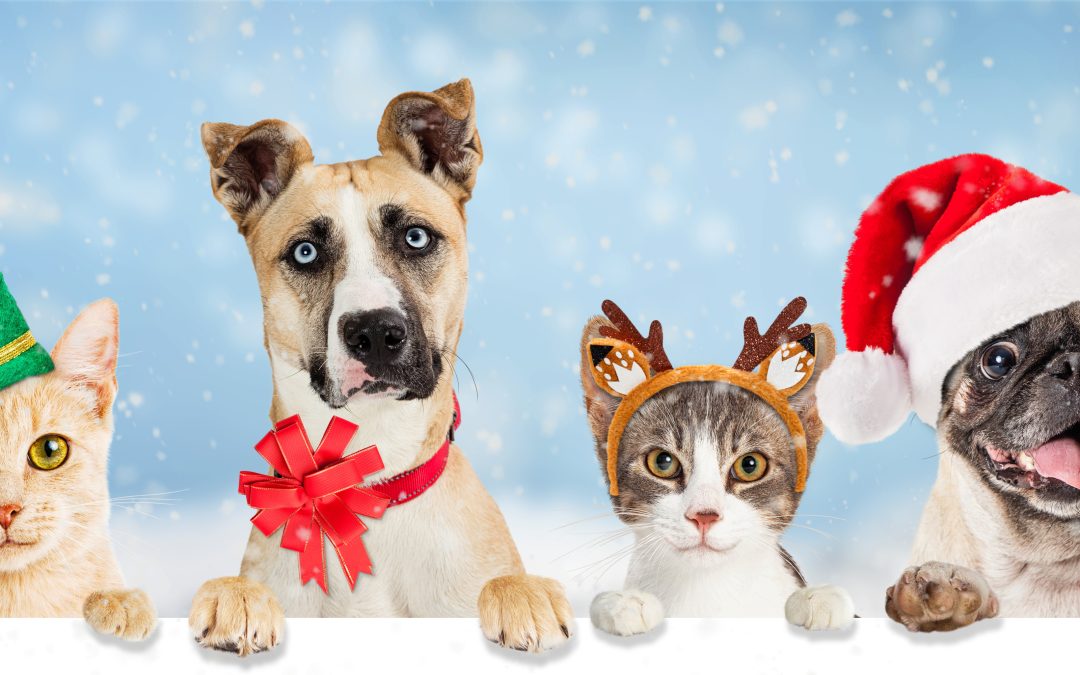 Howliday Donation Drive-Thru 2025