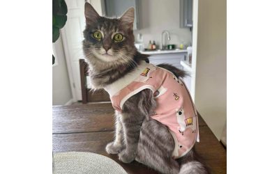 A story of compassion