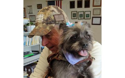 Flea treatment and vaccines